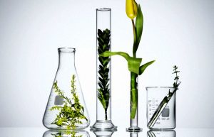 Πώς να διατηρήσετε τα βαμμένα μαλλιά
